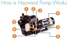 Hayward Swimming Pool Super Pump -Outdoor Products Series H superpump dia 86961.1370516490