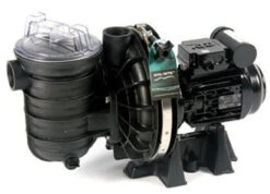 Sta-Rite 5P2R Swimming Pool Pump