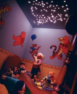 Small Fibre Optic LED Light Star Effect Ceiling Kit