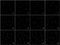 Small Fibre Optic LED Light Star Effect Ceiling Kit 9 Small Fibre Optic LED Light Star Effect Ceiling Kit -Outdoor Products Series star effect density 98013.1413970564